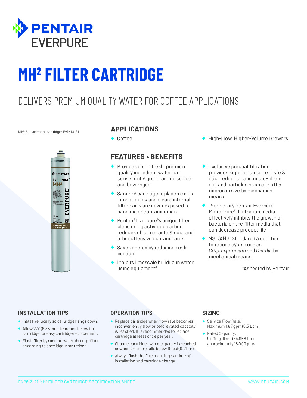 Everpure EV961321 Cartridge Water Filtration System
